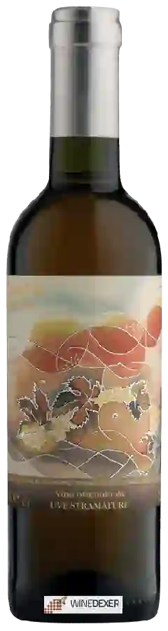 Weingut Malvirà - Renesium Weingut Malvirà - Renesium