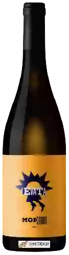 Weingut Monserrato 1973 - Levata