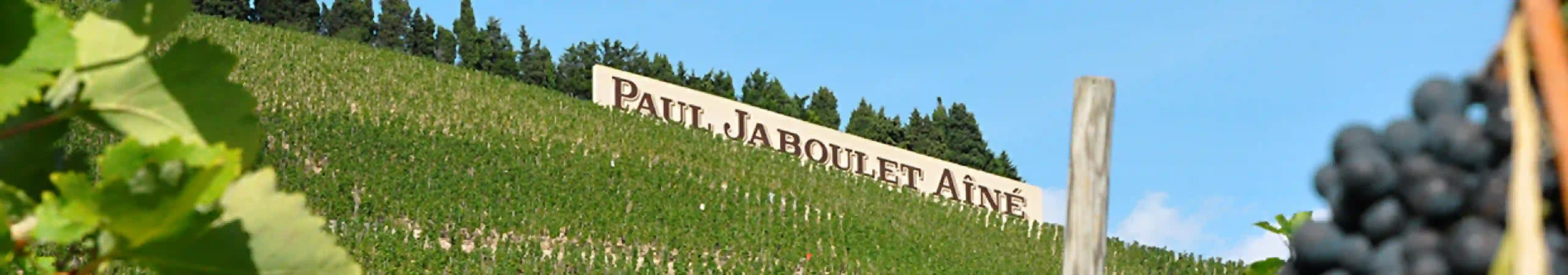 Weingut Paul Jaboulet Aîné - Châteauneuf du Pape La Grappe des Papes