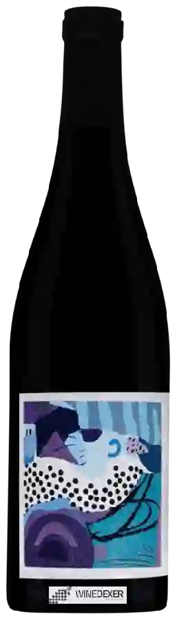 Domaine Philippe Viet - Régnié Haute-Ronze Mosaïque