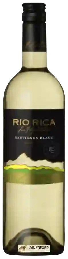 Weingut Rio Rica - Sauvignon Blanc