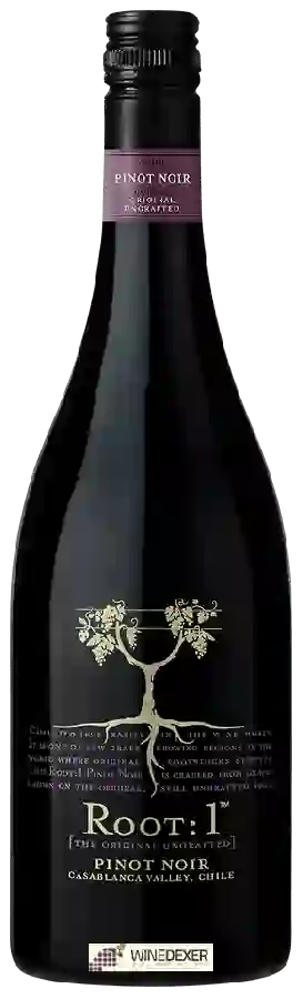 Weingut Root 1 - Pinot Noir Weingut Root 1 - Pinot Noir