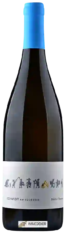 Weingut Schmidt Am Bodensee - Müller-Thurgau
