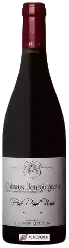 Domaine Stephane Magnien - Coteaux Bourguignons Pur Pinot Noir