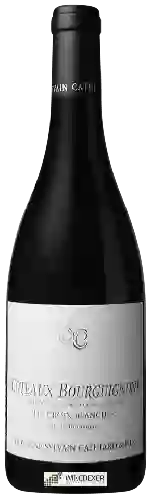 Domaine Sylvain Cathiard - Coteaux Bourguignons 'Les Croix Blanches'