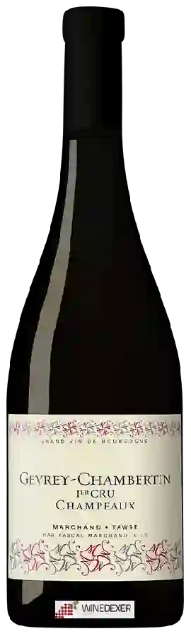Domaine Tawse - Gevrey-Chambertin 1er Cru 'Champeaux' Domaine Tawse - Gevrey-Chambertin 1er Cru 'Champeaux'
