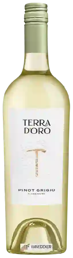 Weingut Terra d'Oro - Pinot Grigio Weingut Terra d'Oro - Pinot Grigio