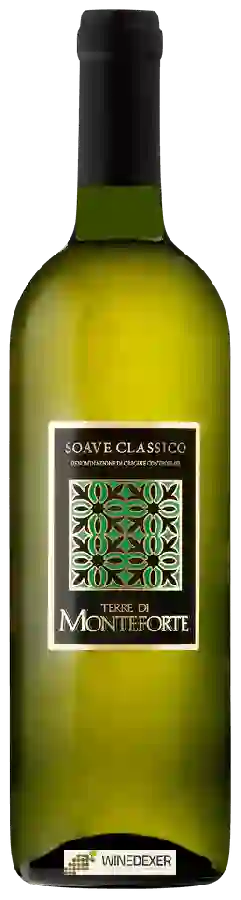 Weingut Terre di Monteforte - Soave Classico