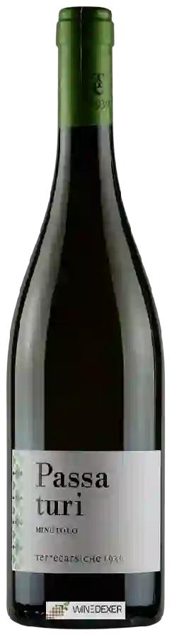 Weingut Terrecarsiche 1939 - Passa Turi Minutolo Weingut Terrecarsiche 1939 - Passa Turi Minutolo