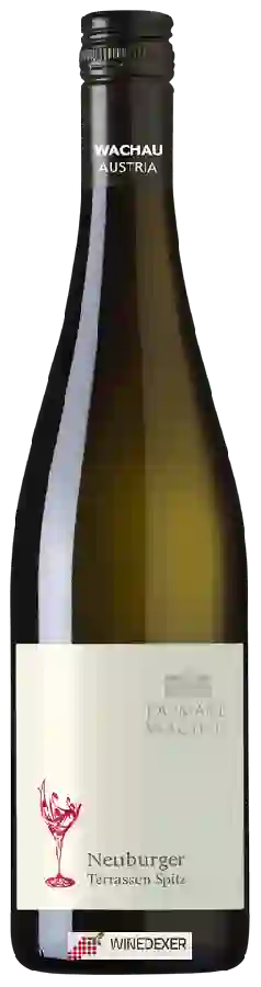 Weingut Domäne Wachau - Neuburger Terrassen Spitz