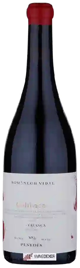 Weingut Domènech.Vidal - Cultivare Criança Weingut Domènech.Vidal - Cultivare Criança