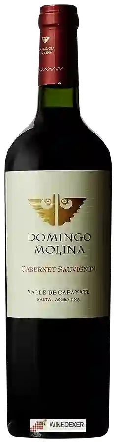 Weingut Domingo Molina - Cabernet Sauvignon Weingut Domingo Molina - Cabernet Sauvignon