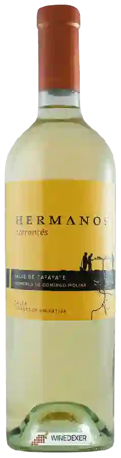 Weingut Domingo Molina - Hermanos Torrontés