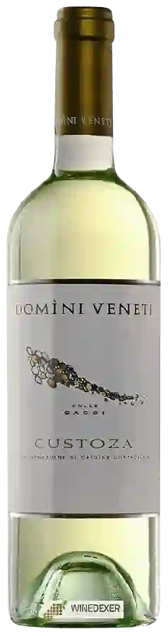 Weingut Domini Veneti - Bianco di Custoza Weingut Domini Veneti - Bianco di Custoza