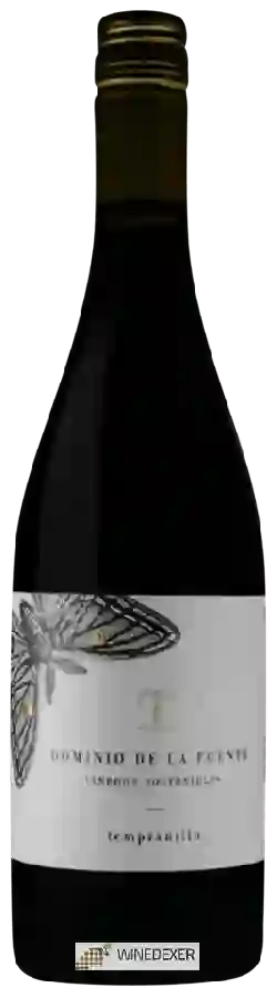 Weingut Dominio de la Fuente - Tempranillo