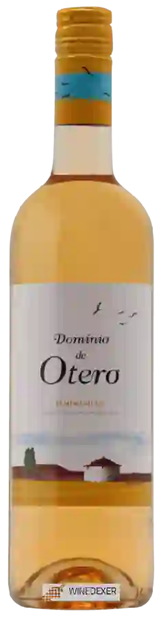 Weingut Dominio de Otero - Tempranillo Rosé