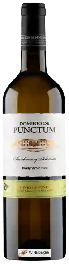 Weingut Dominio de Punctum - Chardonnay Seleccion