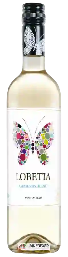 Weingut Dominio de Punctum - Lobetia Sauvignon Blanc Weingut Dominio de Punctum - Lobetia Sauvignon Blanc