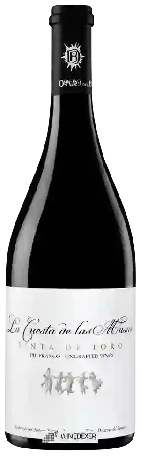 Weingut Dominio del Bendito - Cuesta de las Musas Tinta de Toro