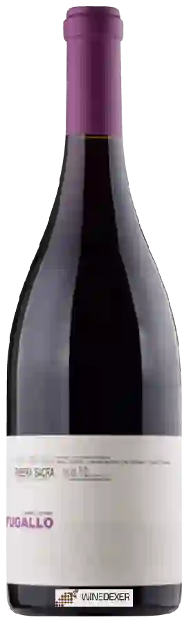 Weingut Dominio do Bibei - Ribeira Sacra Refugallo Weingut Dominio do Bibei - Ribeira Sacra Refugallo