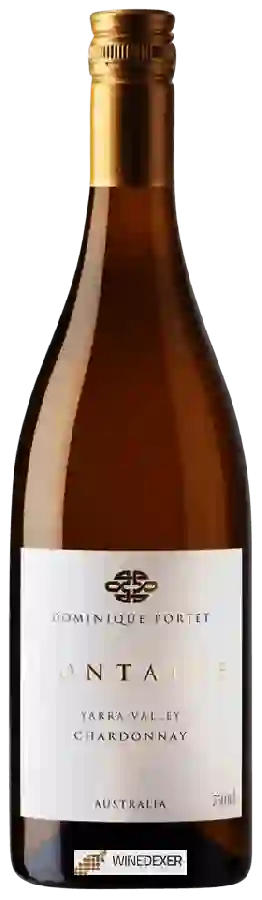 Weingut Dominique Portet - Fontaine Chardonnay Weingut Dominique Portet - Fontaine Chardonnay