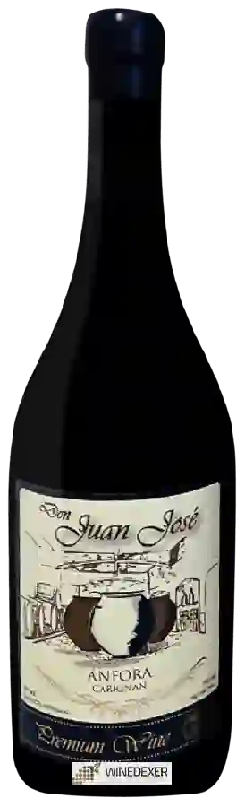 Weingut Don Juan José - Ánfora Carignan