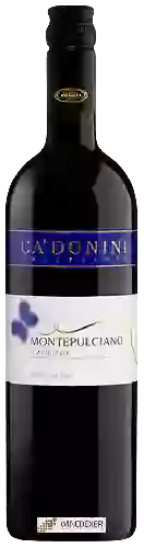 Weingut Ca' Donini - Montepulciano d'Abruzzo