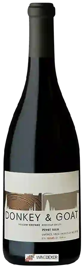 Weingut Donkey & Goat - Helluva Vineyard Pinot Noir