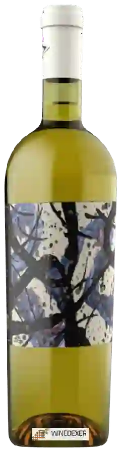 Weingut Donna Viola - Luna Nuova Verdeca Weingut Donna Viola - Luna Nuova Verdeca