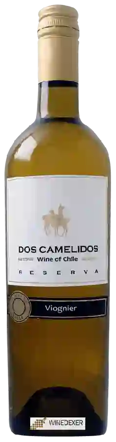 Weingut Dos Camelidos - Reserva Viognier