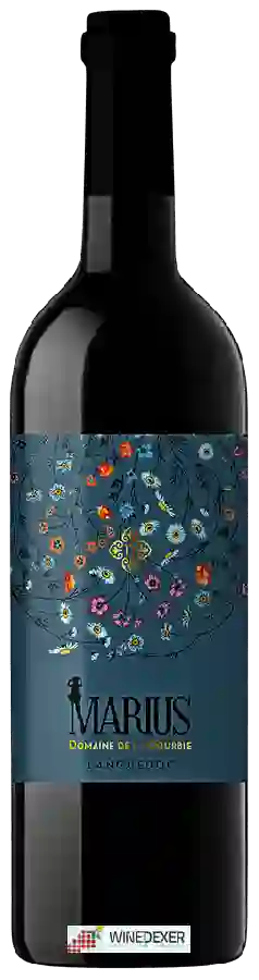 Weingut Dourbie - Marius Rouge Weingut Dourbie - Marius Rouge