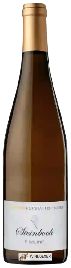 Weingut Dr. Fischer - Selection Hofst&aumltter Wels Steinbock Riesling
