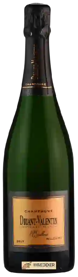Weingut Driant Valentin - L'Excellence Millésime Brut Champagne