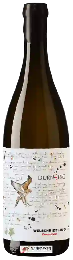 Weingut Dürnberg - Elementum Welschriesling
