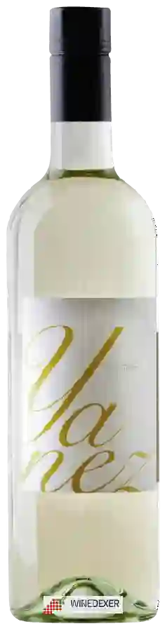 Weingut Dveri Pax - Yanez