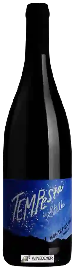 Weingut Earthshaker - Tempesta di Stelle Montepulciano d'Abruzzo Weingut Earthshaker - Tempesta di Stelle Montepulciano d'Abruzzo