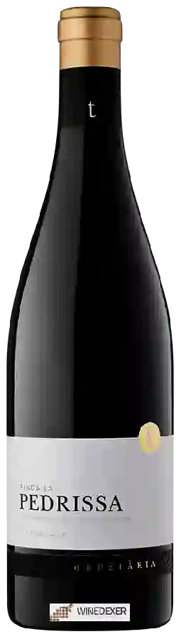 Weingut Edetària - Finca La Pedrissa