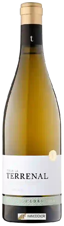 Weingut Edetària - Finca La Terrenal