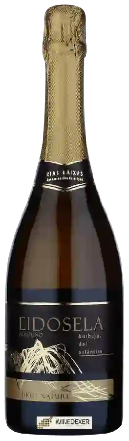 Weingut Eidosela - Burbujas del Atlántico Brut Nature