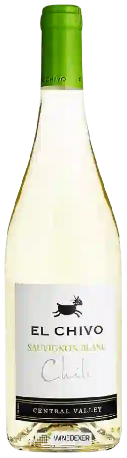 Weingut El Chivo - Sauvignon Blanc