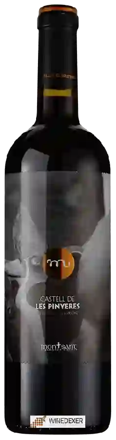 Weingut Celler Masroig - Castell de les Pinyeres