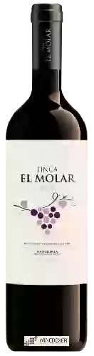 Weingut Finca El Molar - Syrah