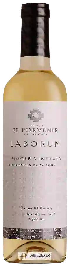 Bodega El Porvenir de Cafayate - Laborum Single Vineyard Finca El Retiro Torrontes De Otoño Bodega El Porvenir de Cafayate - Laborum Single Vineyard Finca El Retiro Torrontes De Otoño