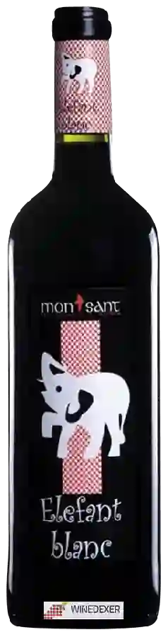 Weingut Ricard M de Simón - Elefant Blanc