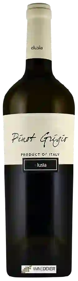 Weingut Elusìa - Pinot Grigio Weingut Elusìa - Pinot Grigio