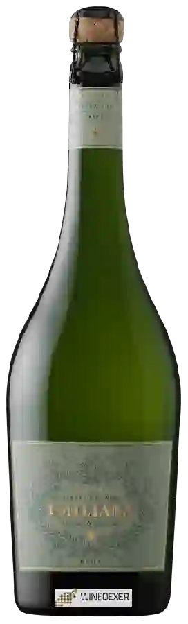 Weingut Emiliana - Organic Brut Weingut Emiliana - Organic Brut