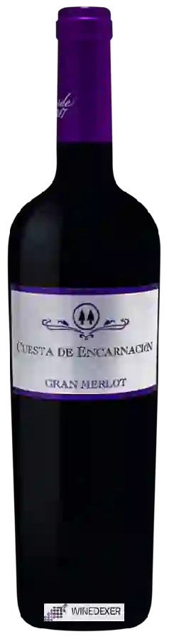 Weingut Encarnacion - Gran Merlot