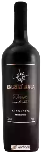 Weingut Encruzilhada - Terroir Ancellotta