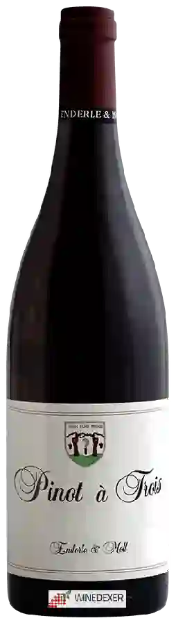 Weingut Enderle & Moll - Pinot à Trois