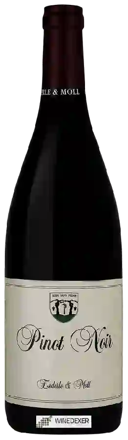 Weingut Enderle & Moll - Pinot Noir Weingut Enderle & Moll - Pinot Noir
